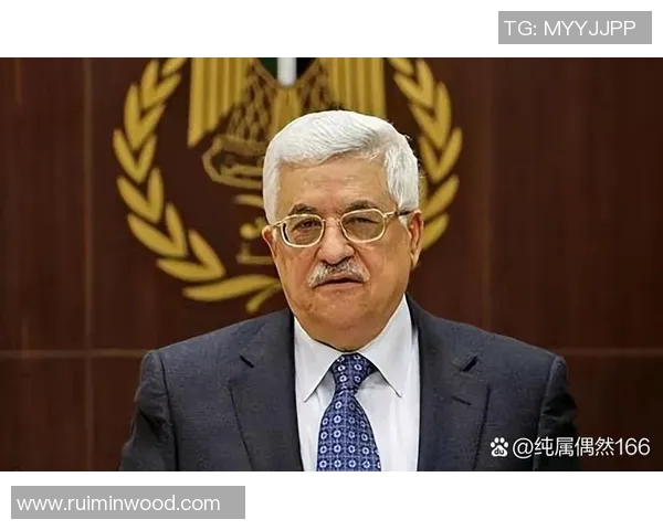 康塞普与巴勒斯坦的较量:足球场上的激情与荣耀对决