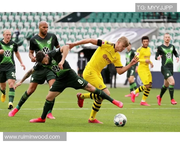 德甲经典对决拜仁与多特精彩集锦回顾与分析